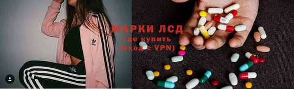 сатива Киров