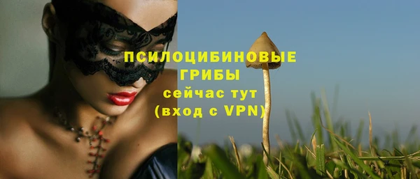 МДПВ Лихославль