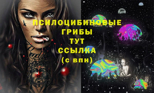 МДПВ Лихославль