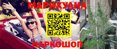 крисы Лесосибирск