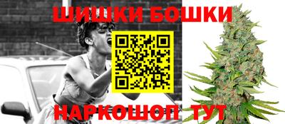 крисы Лесосибирск
