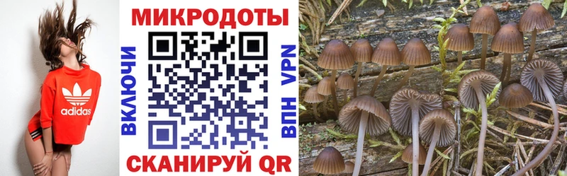 Псилоцибиновые грибы Magic Shrooms Казань
