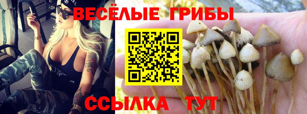 Галлюциногенные грибы ЛСД Казань